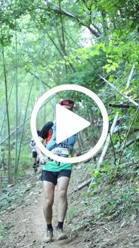 BIB:  <button type="button" onclick="openModal(28039721)" class="btn btn-primary btn-sm float-right" data-toggle="modal" data-target=".modal-high-quality">
                <i class="fa fa-download"></i> Download
                </button>